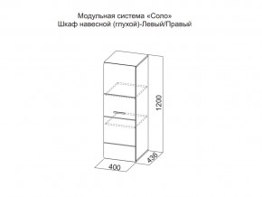 Шкаф навесной (глухой) Левый в Ханты-Мансийске - hanty-mansijsk.магазин96.com | фото