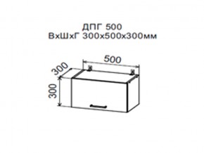 Шкаф верхний ДПГ500 горизонтальный в Ханты-Мансийске - hanty-mansijsk.магазин96.com | фото