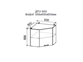Шкаф верхний ДПУ600 угловой в Ханты-Мансийске - hanty-mansijsk.магазин96.com | фото